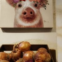  at Streetfood269 - Eschersheimer Landstraße in Frankfurt