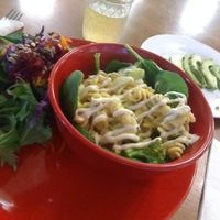 Mac & Trees.   at 24 Carrots in Tempe