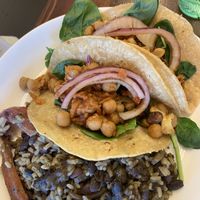 Moroccan tacos at 24 Carrots in Tempe