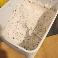  at Café Veg Mãe e Filha in Sao Paulo