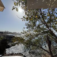 The view   at Ten O'Clock in Tenerife