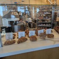 Vegan case March 2026 at Beloved's Bakery and Cafe in Reno