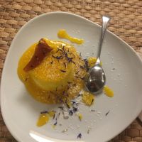 Pannacotta at Il Bio dei Medici in Florence