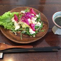 Second at Salloga in Sapporo