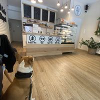   at Fit Cake in Slupsk