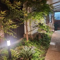  at Vegan Izakaya Masaka (ヴィーガン 居酒屋 真さか)- Kyoto in Kyoto