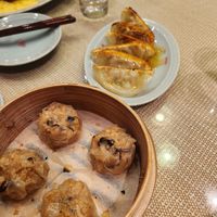 Gyoza and shumai at Vegan Izakaya Masaka (ヴィーガン 居酒屋 真さか)- Kyoto in Kyoto