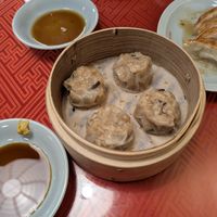 dumplings at Vegan Izakaya Masaka (ヴィーガン 居酒屋 真さか)- Kyoto in Kyoto