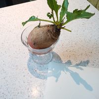 Each table has a different decoration at Schwein in Vienna