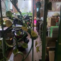 Decide for yourself. Monday at Nhà Chay Om in Ho Chi Minh City