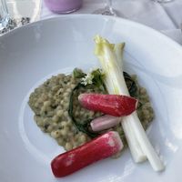 Mushroom pearl barley risotto with wild garlic and chicory   at TestTafel in Amsterdam