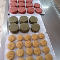 Hamburguesas, falafel y seitan caseros y frescos. at Buenísim buenisim  in Santa Coloma De Gramenet