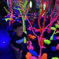   at Meow Wolf in Grapevine
