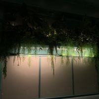 Planters  at Jupiter Supper Club in Austin