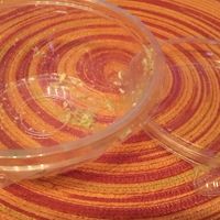 Yeah, I wolfed it down so fast I didn't even get a picture of it 🤣 at Coco Lov  in Dunedin