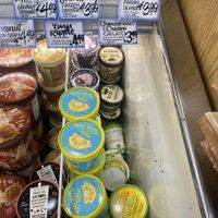 Non-Dairy Vegan Friendly Frozen Treats  at Trader Joe's in Modesto