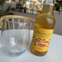 Kombucha  at Shibumi. in Liberec