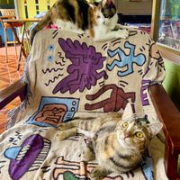 Locals  at STAY GOLD in Koh Phangan