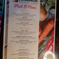 Vegan menu 06/2025 at Shannon Springs Hotel in Shannon