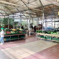 The farm shop  at Emirates Bio Farm  in Al Ain