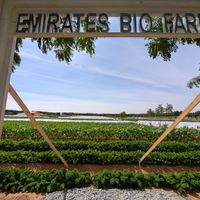  at The Farmer's Table  in Al Ain