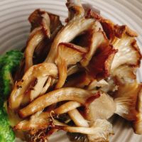 piatto principale d'autunno: funghi ostrica arrostiti con labneh e chimichurri at La Taverna degli Arna in Milan