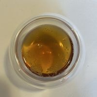 coffee kombutcha   at La Taverna degli Arna in Milan