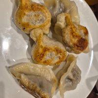 Panfried eggplant dumpling $8.80 (half serve): good amount moist eggplant, not much taste though at Chinese Dumpling Master in Newtown