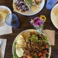 3 tacos and taco salad  at Nectar Cafe in Auburn