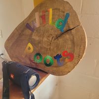  at Wild Roots in San Ignacio