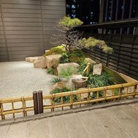  at Qing Chun Po Meng in Shenzhen