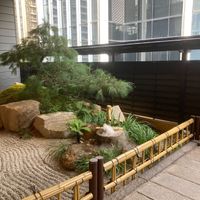  at Qing Chun Po Meng in Shenzhen