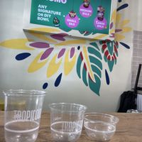   at Tropicool in Manly