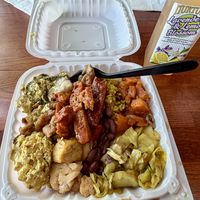 The sample platter that they made for me🥰  at Soul Veg City in Chicago