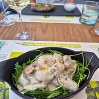 Creamy gnocchi with truffles at BioMania Bistro in Zagreb