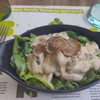 Gnocchi with truffles at BioMania Bistro in Zagreb