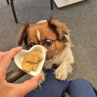  at BioMania Bistro in Zagreb