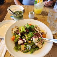 Lovely salad with lemon dressing at Coconoha - ココノハ 東京スカイツリータウン・ソラマチ店 in Tokyo