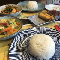 Vegane Frühlingsrollen sowie grünes Curry und Wok Gericht mit Tofu    at Khao Thai in Zandvoort