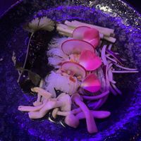 Konjak noodles   at Umami in Maastricht