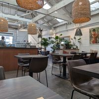  at Kokomo in Christchurch