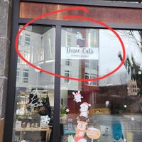  at Three Cats Coffee in Woodinville