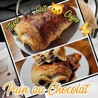  at Three Cats Coffee in Woodinville