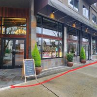  at Three Cats Coffee in Woodinville