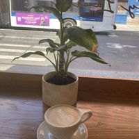 Oat latte, Vietnamese stylee  at Bánh by Lauren  in New York City