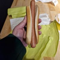 Plant dog (there is a place to add ketchup) at IKEA  in Cardiff