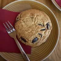   at Gloria in Cologne