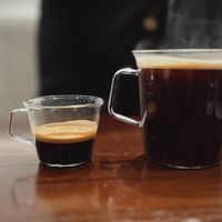   at MOON and BACK Ramen Bar & Brunch Cafe in Kyoto