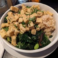  at Handlebar in Chicago