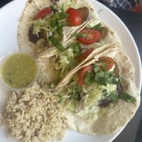 Avocado tacos vegan   at Handlebar in Chicago